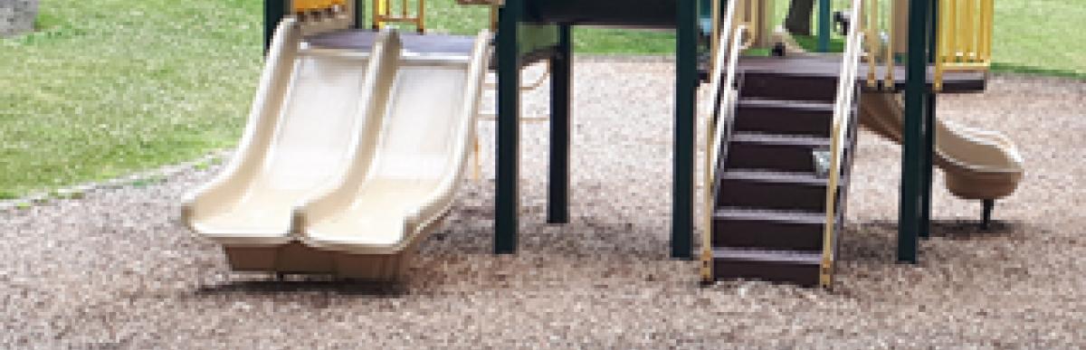 Dundurn Park existing play structure
